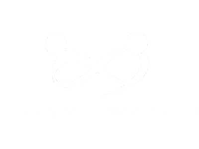 Luminary Networks Ltd Logo