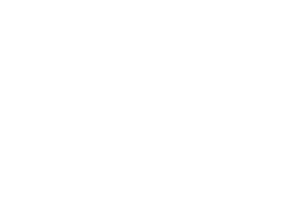 Whitetops Global Logo